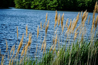Lake Wintergreen, Hamden, CT