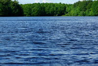 Lake Wintergreen, Hamden, CT