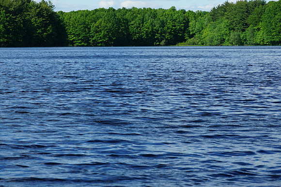 Lake Wintergreen, Hamden, CT